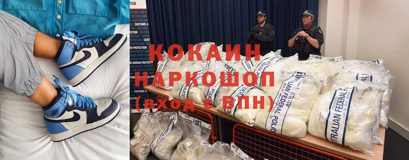 купить закладку  Пушкино  Cocaine Fish Scale 